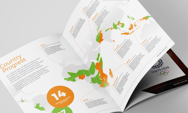 Global Alliance for Improved Nutrition Brochure Design