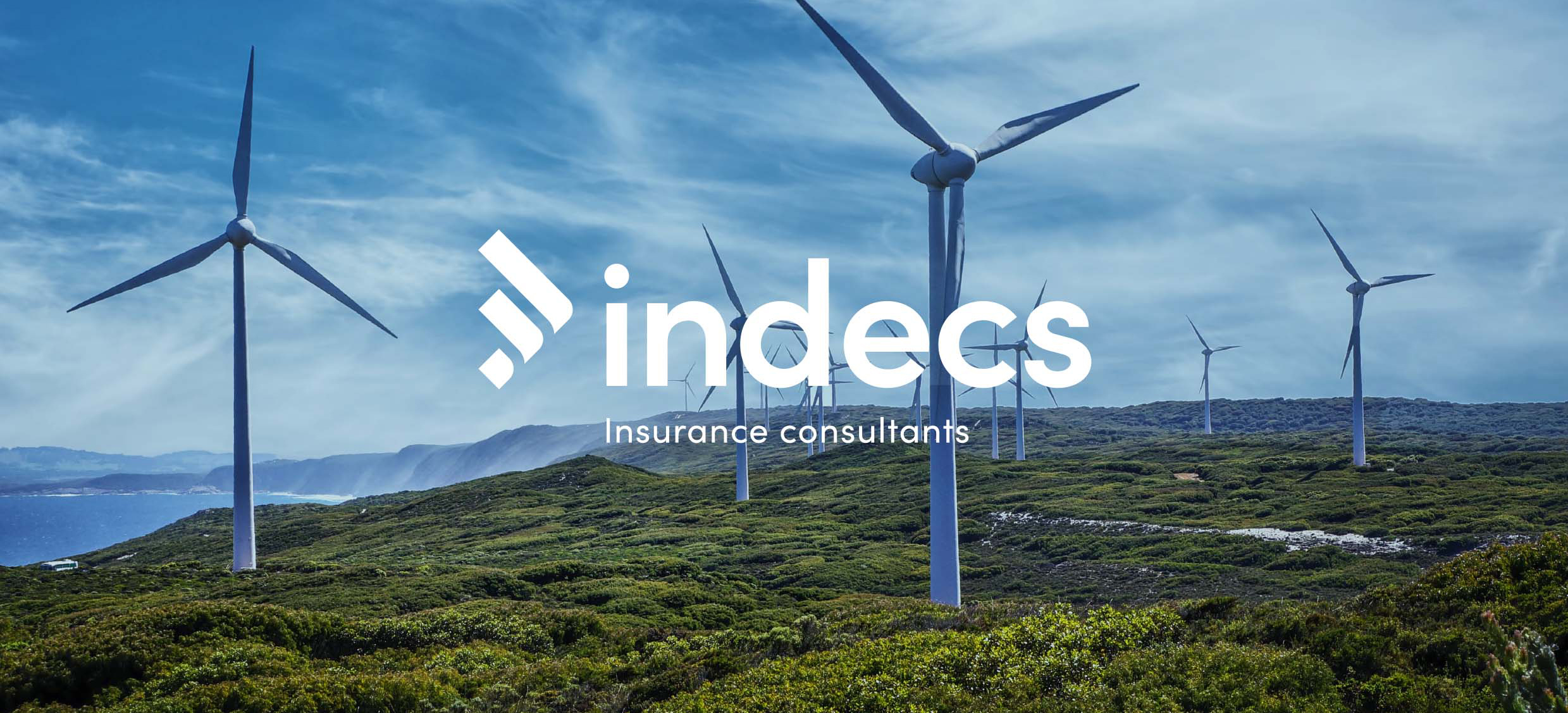 Indecs Consulting Logo Design